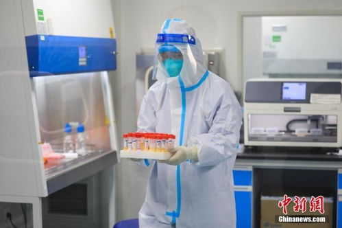 国务院联防联控机制强调 核酸检测机构需提供24小时服务，保障防疫需求