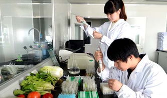 政府购买食品检验检测服务的优势与实践路径