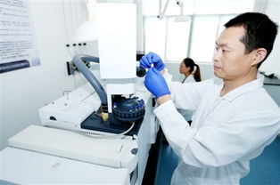 检测服务助企发展 检验检测服务如何成为企业腾飞的隐形翅膀