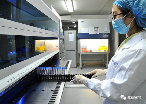 宝贝计划 399元抢儿童天赋基因检测，解锁孩子的无限潜能
